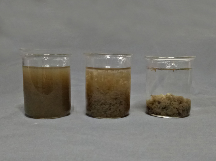 ӡȾ��ˮ�����������x�͌��